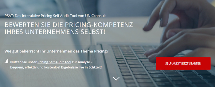 Pricing-Audits
